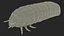 Maggot May Bug Fur