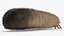 Maggot May Bug Fur
