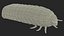 Maggot May Bug Fur