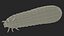 Maggot May Bug Fur