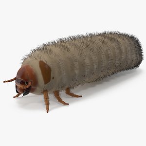 Maggot May Bug Fur 3D
