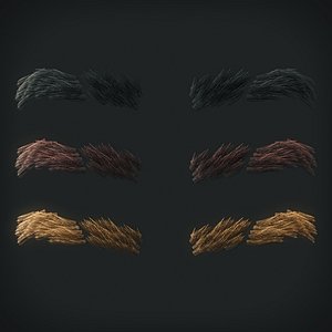 3D eyebrows 6 model