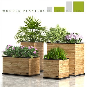 planter box plants max