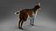 Fur Goat 01 NO Rigged in Blender