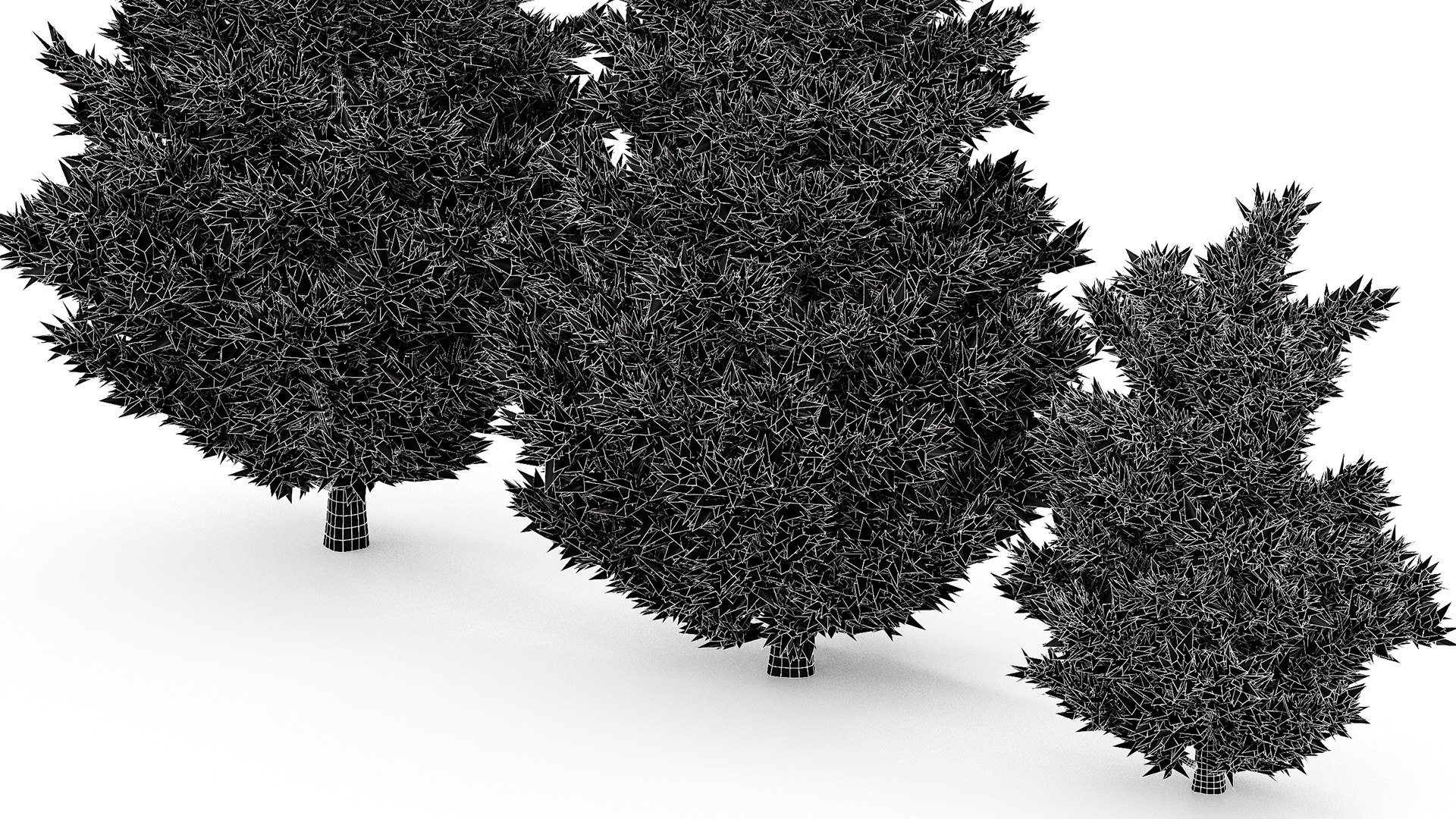 3D model Leyland Cypress Tree Cupressocyparis leylandii https://p.turbosquid.com/ts-thumb/Ze/vfI3hS/L0/z07/png/1719401707/1920x1080/fit_q87/9bb4871518b26914ff84634a11863dc229153ffd/z07.jpg