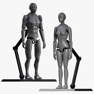 Male and Female Articulated Action Figure with stand