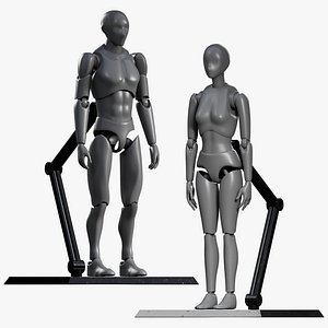 Male and Female Articulated Action Figure with stand