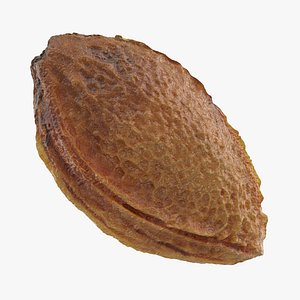 Plum Seed