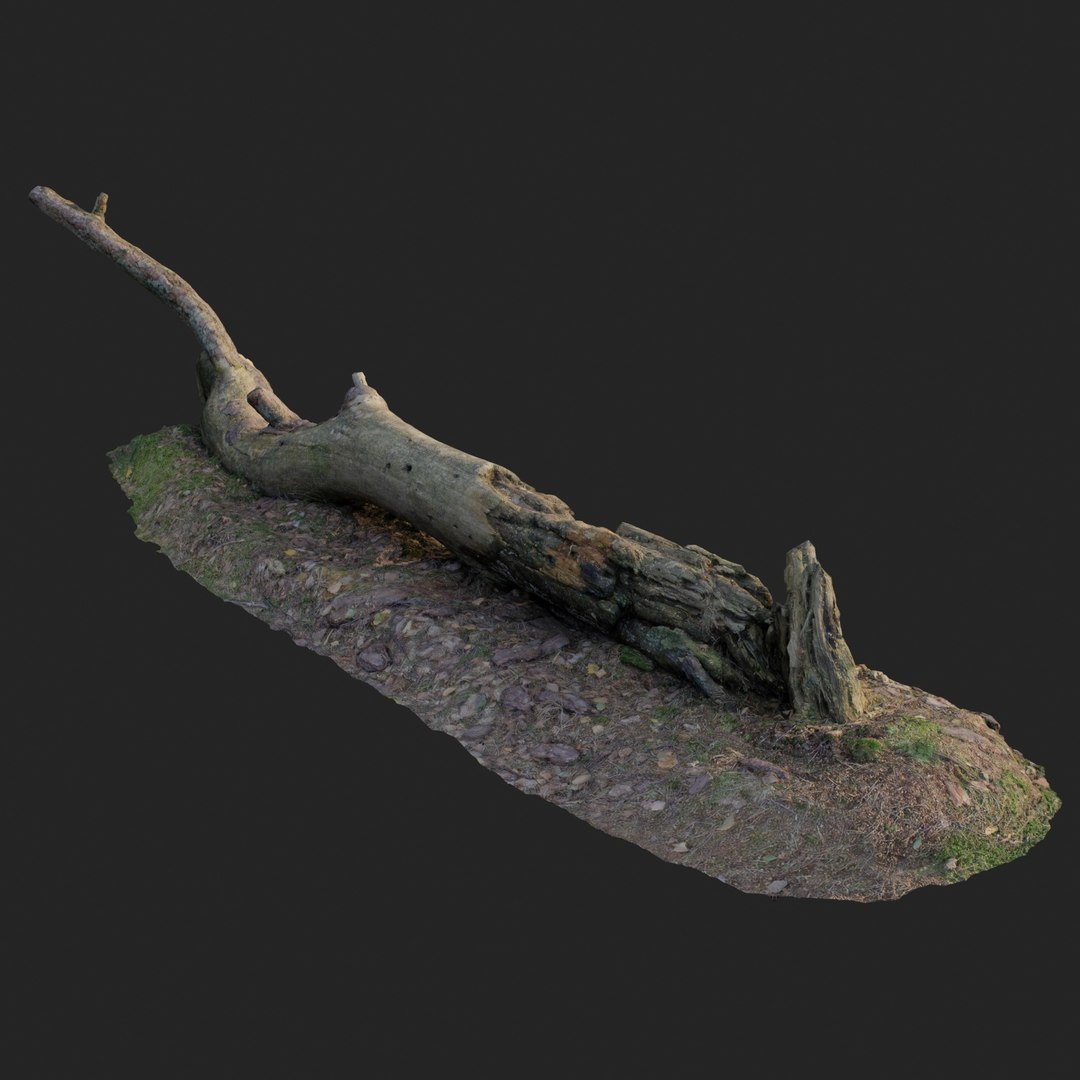 scanned nature forest roots 3D model https://p.turbosquid.com/ts-thumb/Zf/46BsxB/KK1CiBXi/nature_forest_roots_007_render_002/jpg/1502477119/1920x1080/fit_q87/cb07f3f9c7e387765917d1fa956cec5efcf99272/nature_forest_roots_007_render_002.jpg