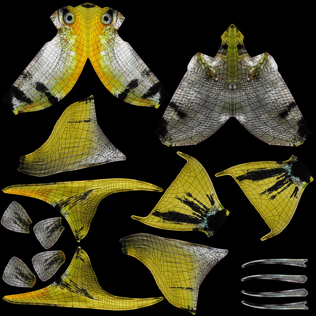 angelfish scanline 3d model https://p.turbosquid.com/ts-thumb/Zf/53z9K4/2SSF4iSw/ryukingoldfish_rr37/jpg/1501478455/1920x1080/fit_q87/f6cff667aaef7f324f61caec3c52cd29e8607405/ryukingoldfish_rr37.jpg