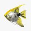 Angelfish