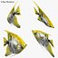 Angelfish