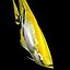 Angelfish