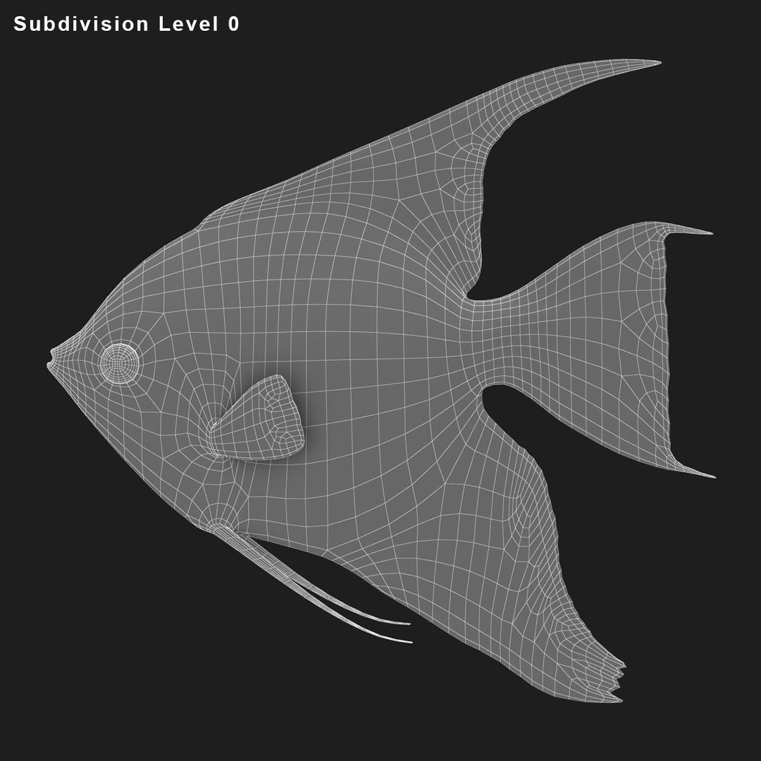 angelfish scanline 3d model https://p.turbosquid.com/ts-thumb/Zf/53z9K4/XYemL3Gr/ryukingoldfish_rr29/jpg/1501478455/1920x1080/fit_q87/742cff1b1625315e52faebe5fac2a49e15447ec2/ryukingoldfish_rr29.jpg