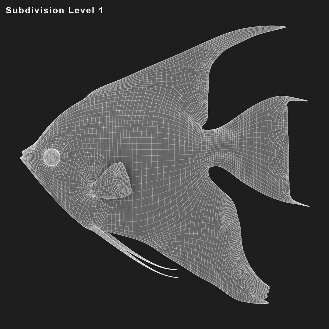 angelfish scanline 3d model https://p.turbosquid.com/ts-thumb/Zf/53z9K4/m2ntPxtI/ryukingoldfish_rr31/jpg/1501478455/1920x1080/fit_q87/06765c62186df9ac916841b2988fe928ebb8ccbd/ryukingoldfish_rr31.jpg