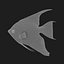 Angelfish