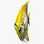 Angelfish