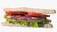 Toasted Home Sandwich Triangle