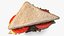 Toasted Home Sandwich Triangle
