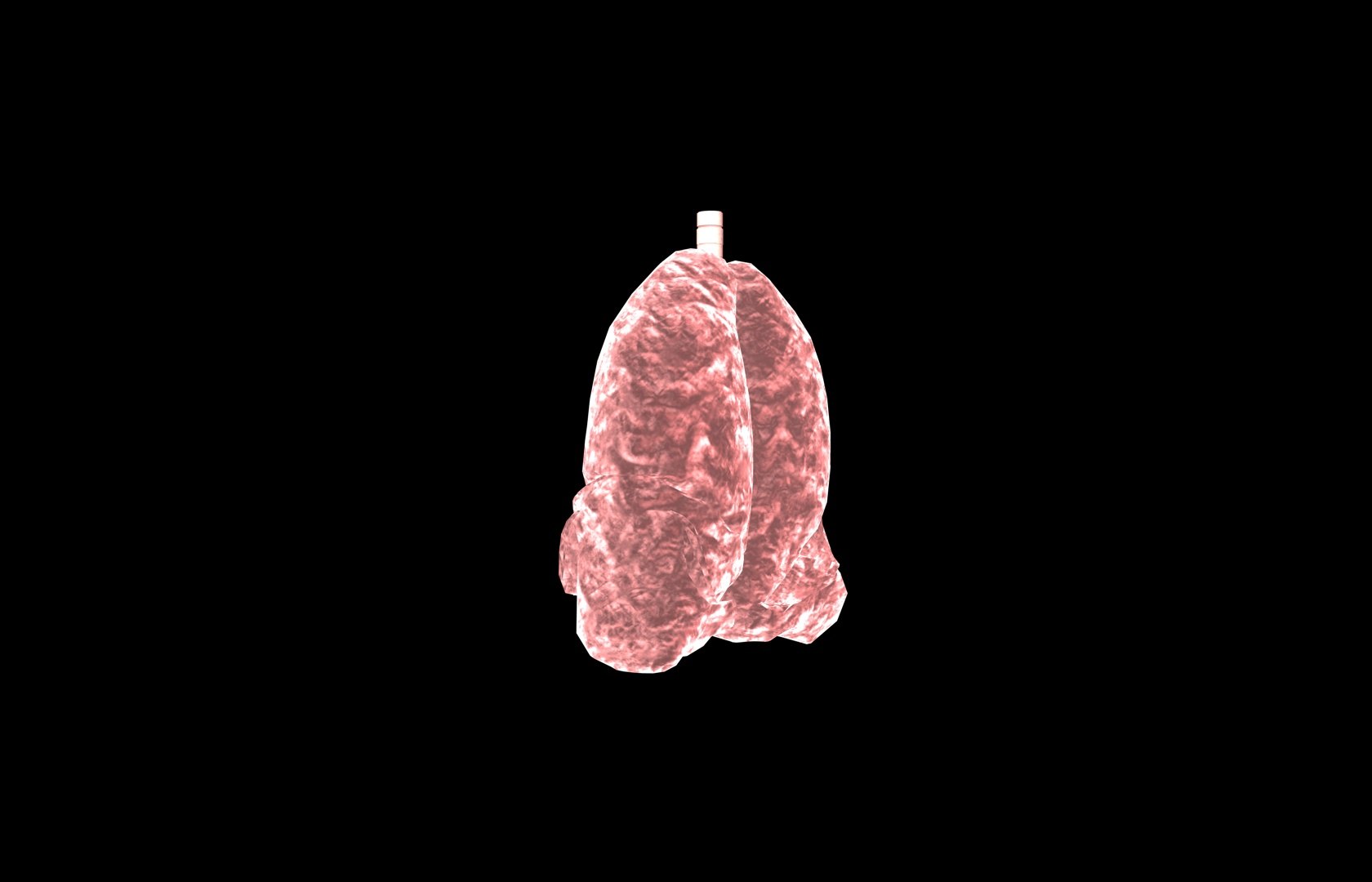 3d model of lung medical https://p.turbosquid.com/ts-thumb/Zf/FR2MTj/1laVjRTm/lung0026/jpg/1376229595/1920x1080/fit_q87/31c588be78cbe48347ce1be6c2b702b6c673492f/lung0026.jpg
