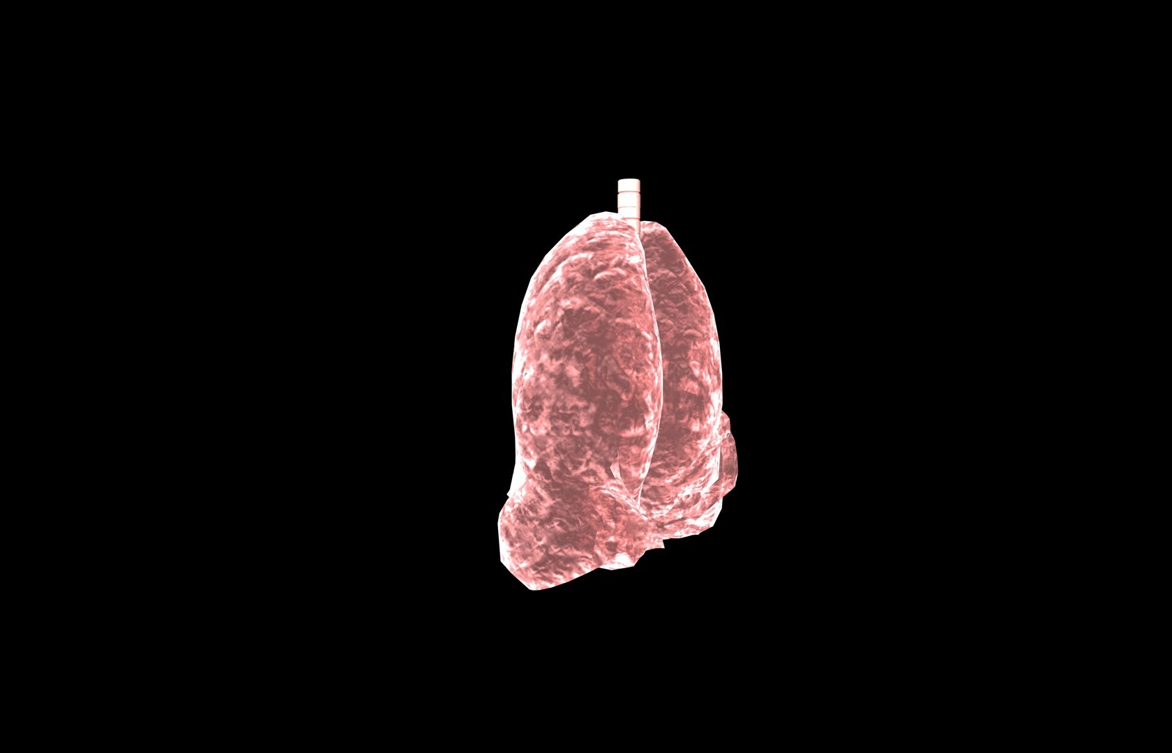 3d model of lung medical https://p.turbosquid.com/ts-thumb/Zf/FR2MTj/8aOtVE2k/lung0012/jpg/1376229594/1920x1080/fit_q87/73db798ea2cd0c8fabceee2a84b477d6e23dc396/lung0012.jpg