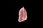 Polmone modello 3d con lobi con precisione medica
