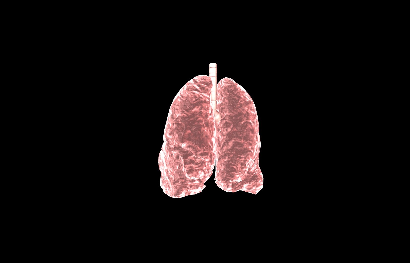3d model of lung medical https://p.turbosquid.com/ts-thumb/Zf/FR2MTj/AKx0ENjj/lung0024/jpg/1376229595/1920x1080/fit_q87/d3aa154b08f572ab2c61b6dffedb9a6f91fe07fd/lung0024.jpg