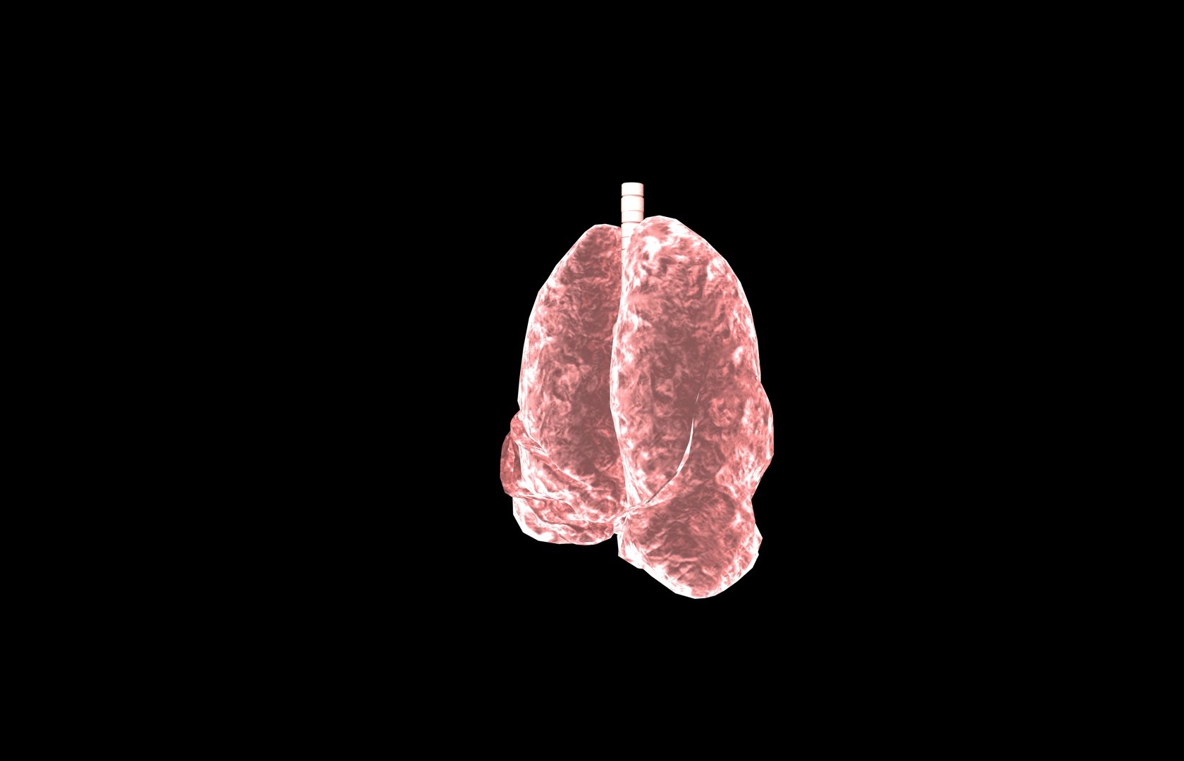 3d model of lung medical https://p.turbosquid.com/ts-thumb/Zf/FR2MTj/BJ1bXBbu/lung0017/jpg/1376229595/1920x1080/fit_q87/3cd5a445ffe89b2ae57fe7596c195c5a69020927/lung0017.jpg