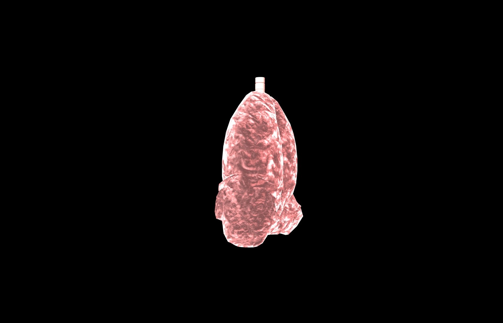 3d model of lung medical https://p.turbosquid.com/ts-thumb/Zf/FR2MTj/CDMtI5Ps/lung0027/jpg/1376229595/1920x1080/fit_q87/ce57baa077cfd5e04544b43f5754da3c8e9312a8/lung0027.jpg