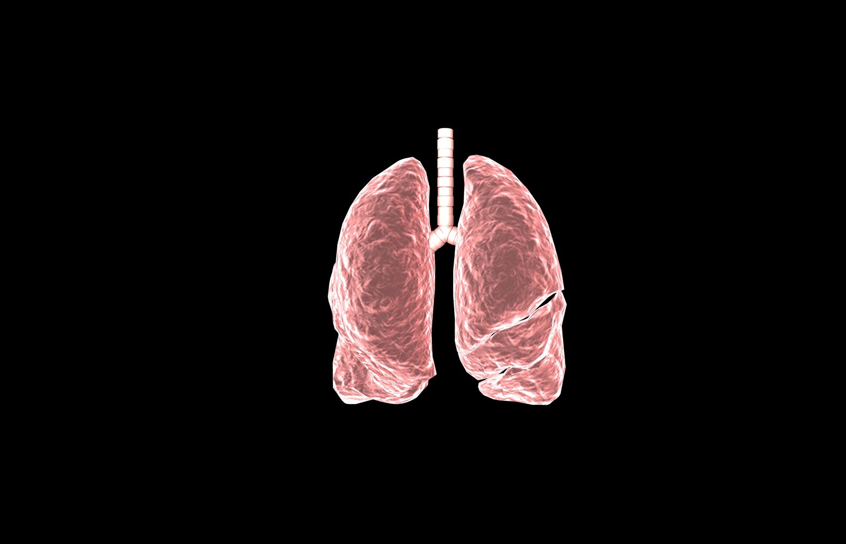 3d model of lung medical https://p.turbosquid.com/ts-thumb/Zf/FR2MTj/CjuG42x9/lung0002/jpg/1376229594/1920x1080/fit_q87/7b5e23723607254b085d20881141e7e1a0d3898e/lung0002.jpg