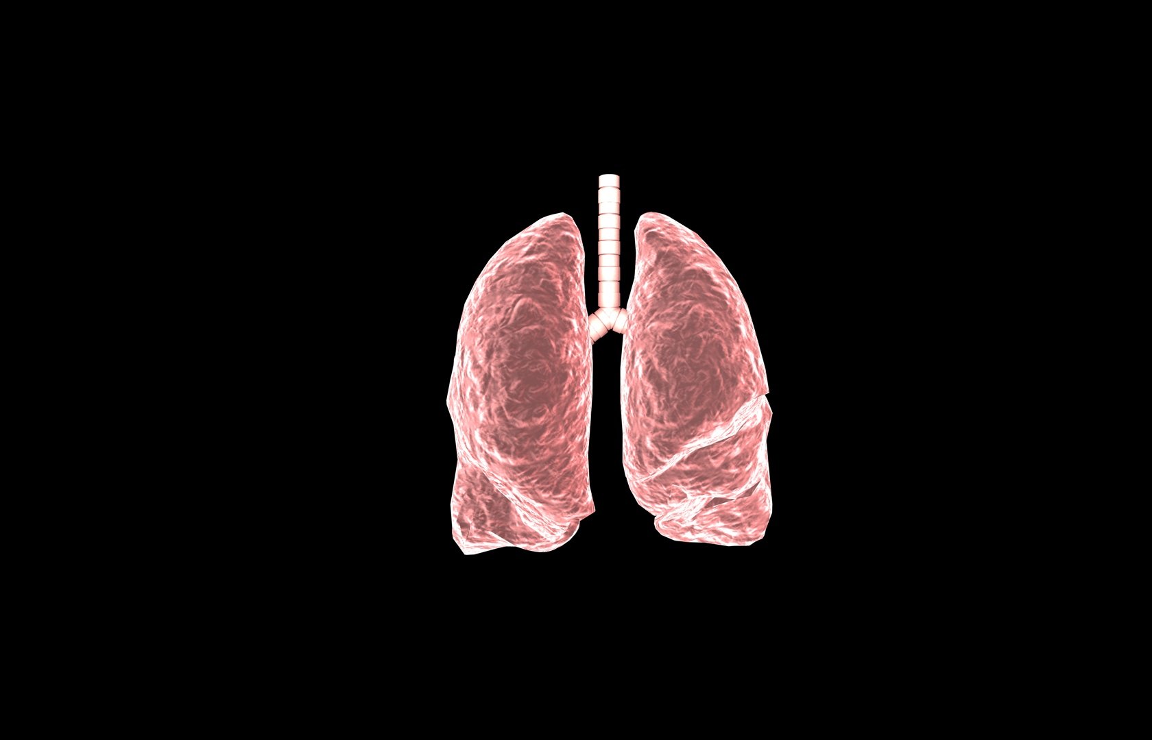 3d model of lung medical https://p.turbosquid.com/ts-thumb/Zf/FR2MTj/J6sWGLMz/lung0005/jpg/1376229594/1920x1080/fit_q87/2c13a7e8f53528a4456001e70bf0030cb59de0cf/lung0005.jpg