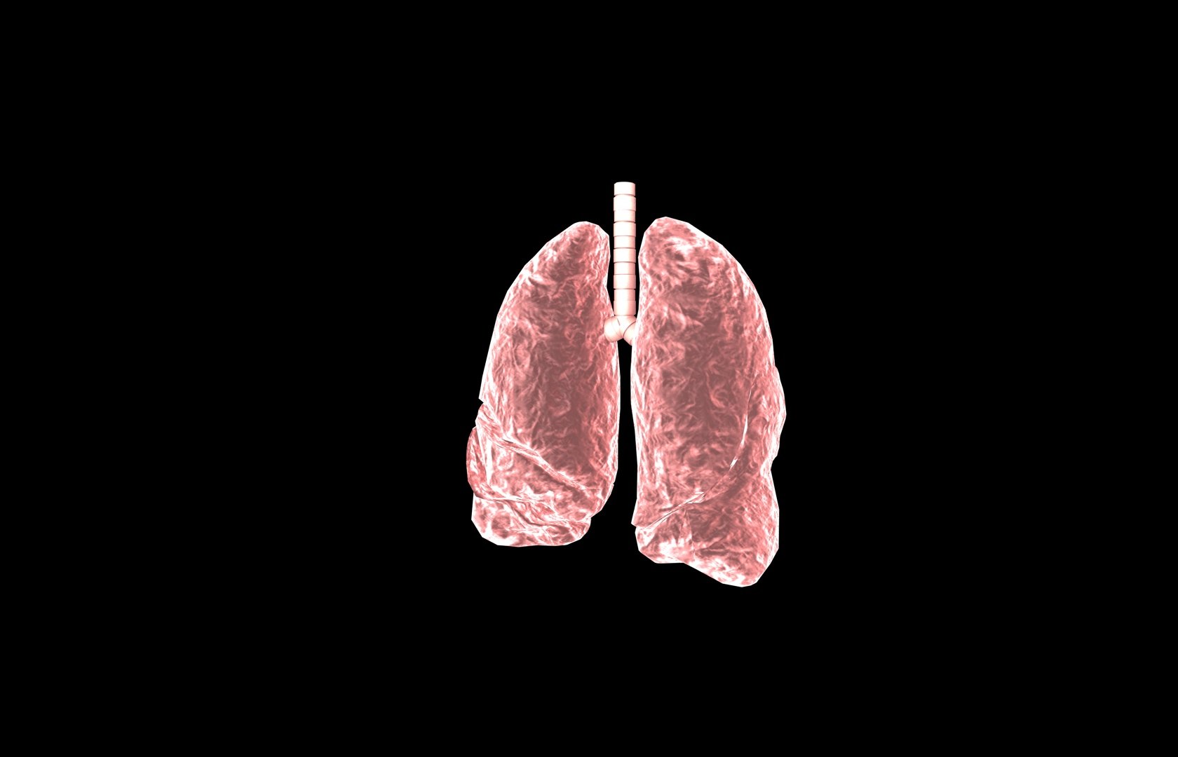 3d model of lung medical https://p.turbosquid.com/ts-thumb/Zf/FR2MTj/KYDXdMYf/lung0019/jpg/1376229595/1920x1080/fit_q87/cf5fe33816282f4b91c8aeb1ebc631cb763fd5e1/lung0019.jpg