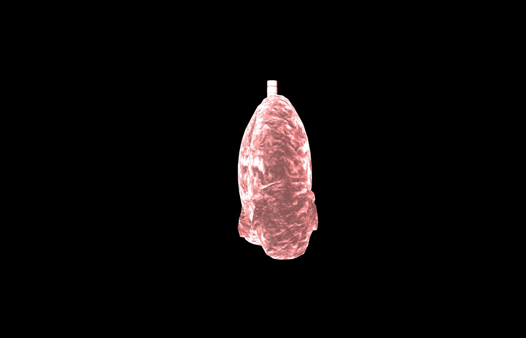 3d model of lung medical https://p.turbosquid.com/ts-thumb/Zf/FR2MTj/RuoEV9k9/lung0029/jpg/1376229595/1920x1080/fit_q87/7fb9396151d6ad7d901bd80f875c8c045511f147/lung0029.jpg