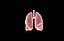 Polmone modello 3d con lobi con precisione medica