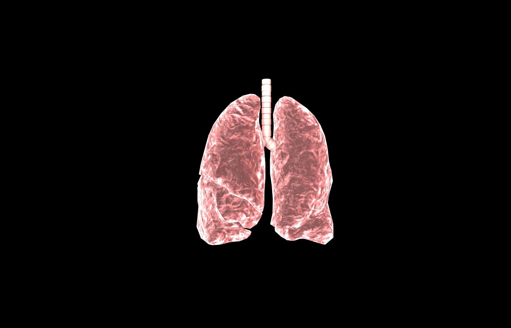 3d model of lung medical https://p.turbosquid.com/ts-thumb/Zf/FR2MTj/Uabtu4YB/lung0023/jpg/1376229595/1920x1080/fit_q87/3f43169962e61cc0c91f26fceb008487f2174aac/lung0023.jpg