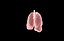 Polmone modello 3d con lobi con precisione medica