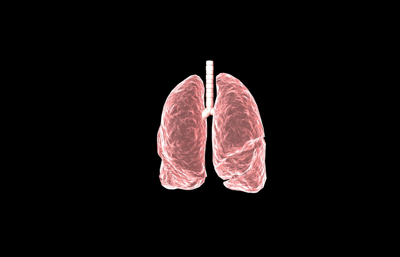 3d model of lung medical https://p.turbosquid.com/ts-thumb/Zf/FR2MTj/a41PKf7M/lung0036/jpg/1376229595/1920x1080/fit_q87/4d1f04f73834581e1d119a1a740188dc65f9f40f/lung0036.jpg