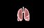 Polmone modello 3d con lobi con precisione medica
