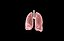 Polmone modello 3d con lobi con precisione medica