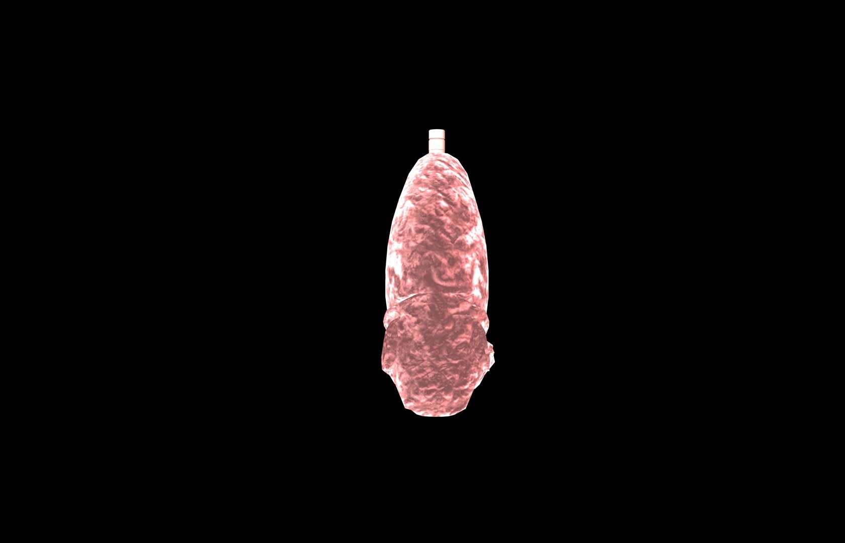 3d model of lung medical https://p.turbosquid.com/ts-thumb/Zf/FR2MTj/mNWgQ6yU/lung0028/jpg/1376229595/1920x1080/fit_q87/46dba66666e3368fec0d56439d626da6a4b50b97/lung0028.jpg