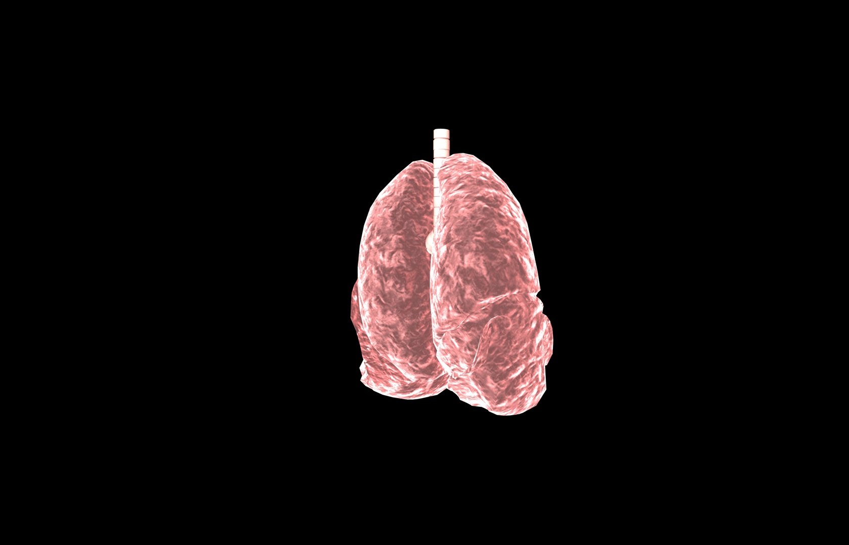 3d model of lung medical https://p.turbosquid.com/ts-thumb/Zf/FR2MTj/t8q4wIfw/lung0032/jpg/1376229595/1920x1080/fit_q87/218da87013948189ab9c8b82a19ed56f28cc3009/lung0032.jpg