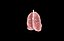 Polmone modello 3d con lobi con precisione medica