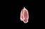 Polmone modello 3d con lobi con precisione medica