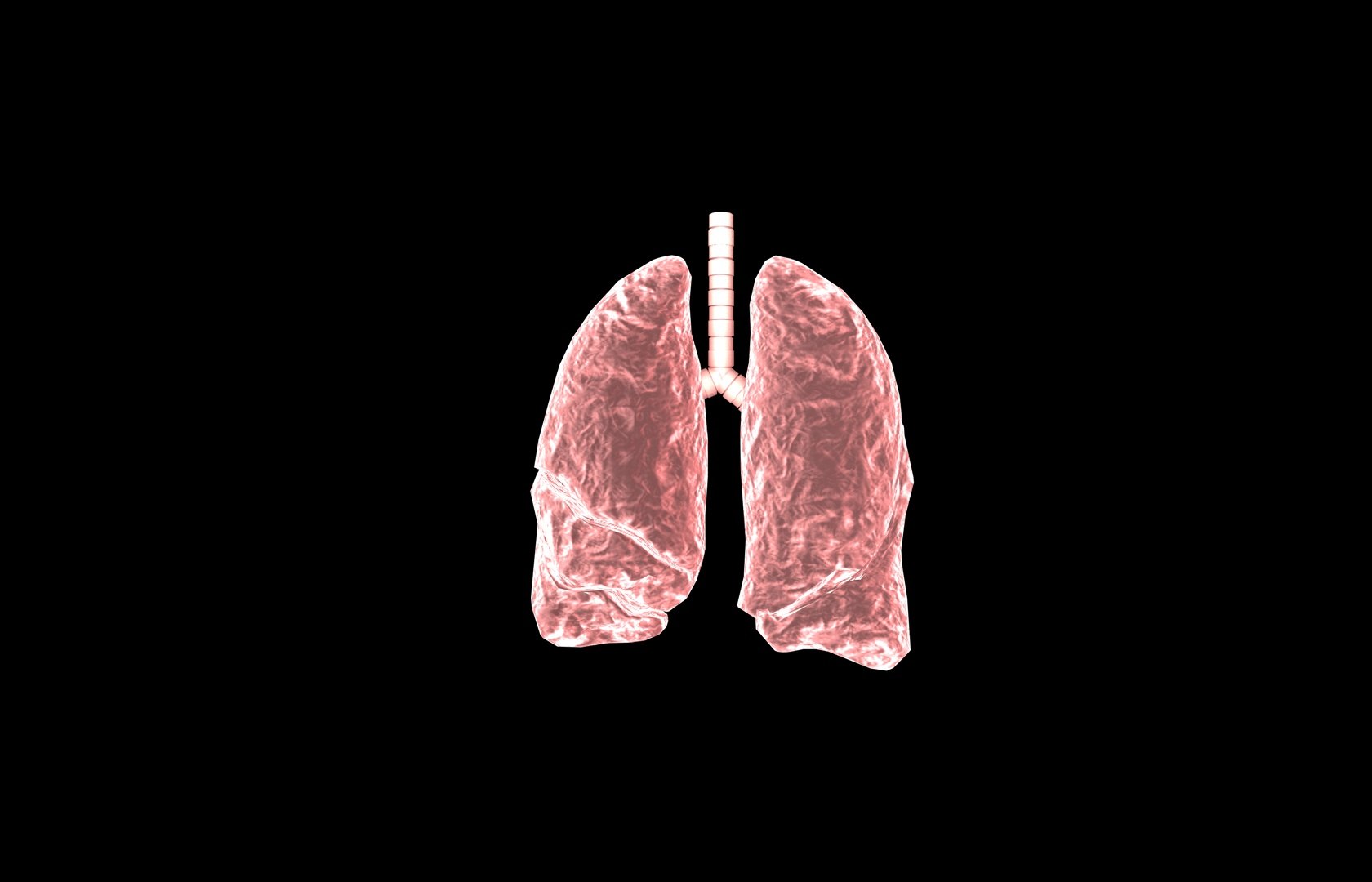 3d model of lung medical https://p.turbosquid.com/ts-thumb/Zf/FR2MTj/wj1v5J9g/lung0021/jpg/1376229595/1920x1080/fit_q87/ce583c8832c2dcf5c44156ff90ce329c7266e76a/lung0021.jpg