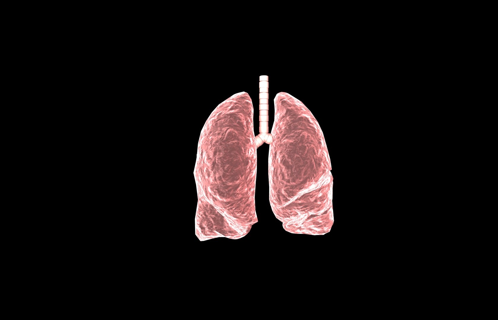 3d model of lung medical https://p.turbosquid.com/ts-thumb/Zf/FR2MTj/z6IX2nm5/lung0006/jpg/1376229594/1920x1080/fit_q87/bfac8cbda59bd5ffe865641c5a32e77ff6e28284/lung0006.jpg