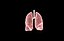 Polmone modello 3d con lobi con precisione medica