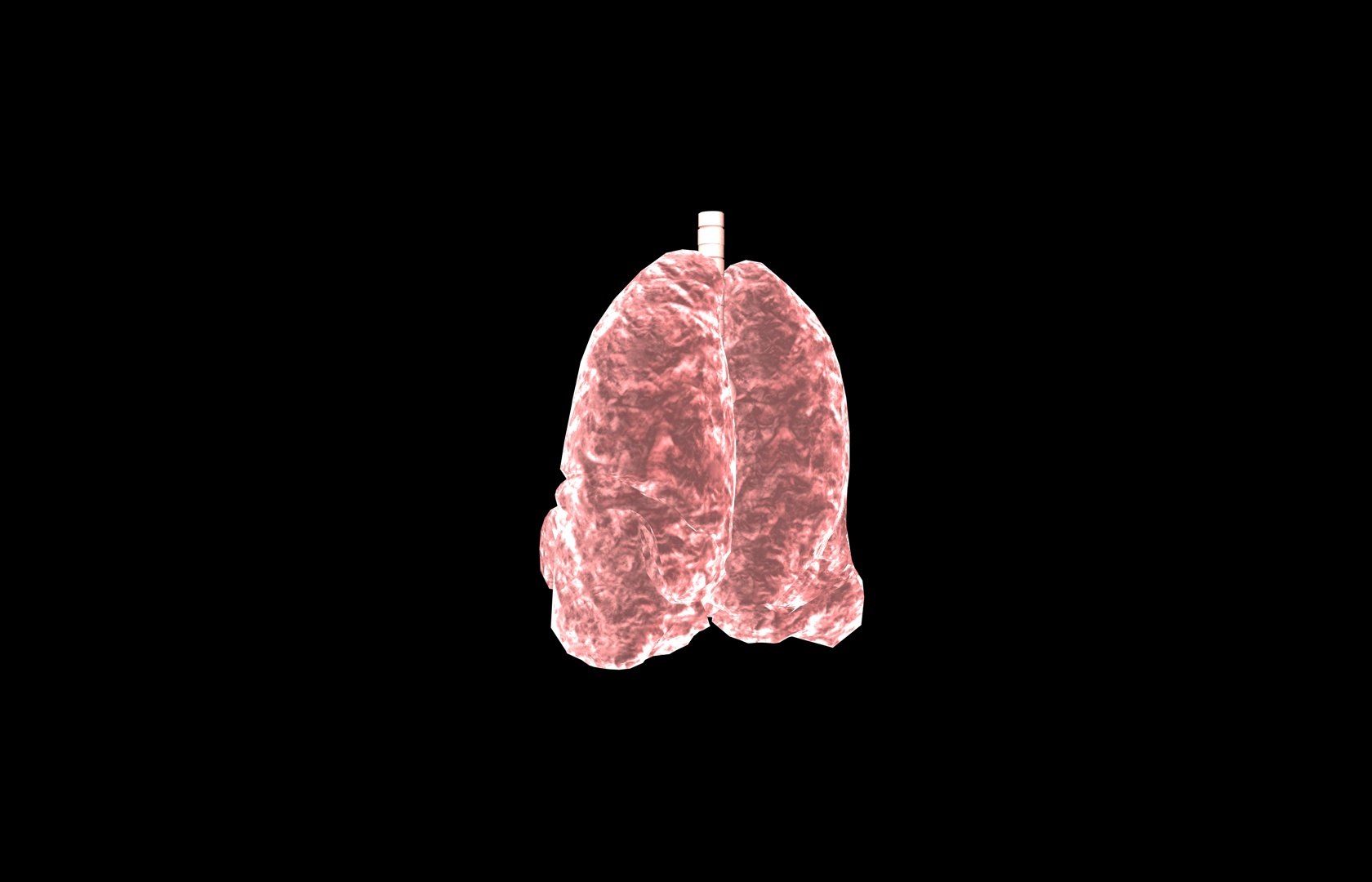3d model of lung medical https://p.turbosquid.com/ts-thumb/Zf/FR2MTj/zVtmHHXb/lung0025/jpg/1376229595/1920x1080/fit_q87/ad81c04137690feaa5142fecc2e594296034d656/lung0025.jpg