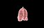Polmone modello 3d con lobi con precisione medica