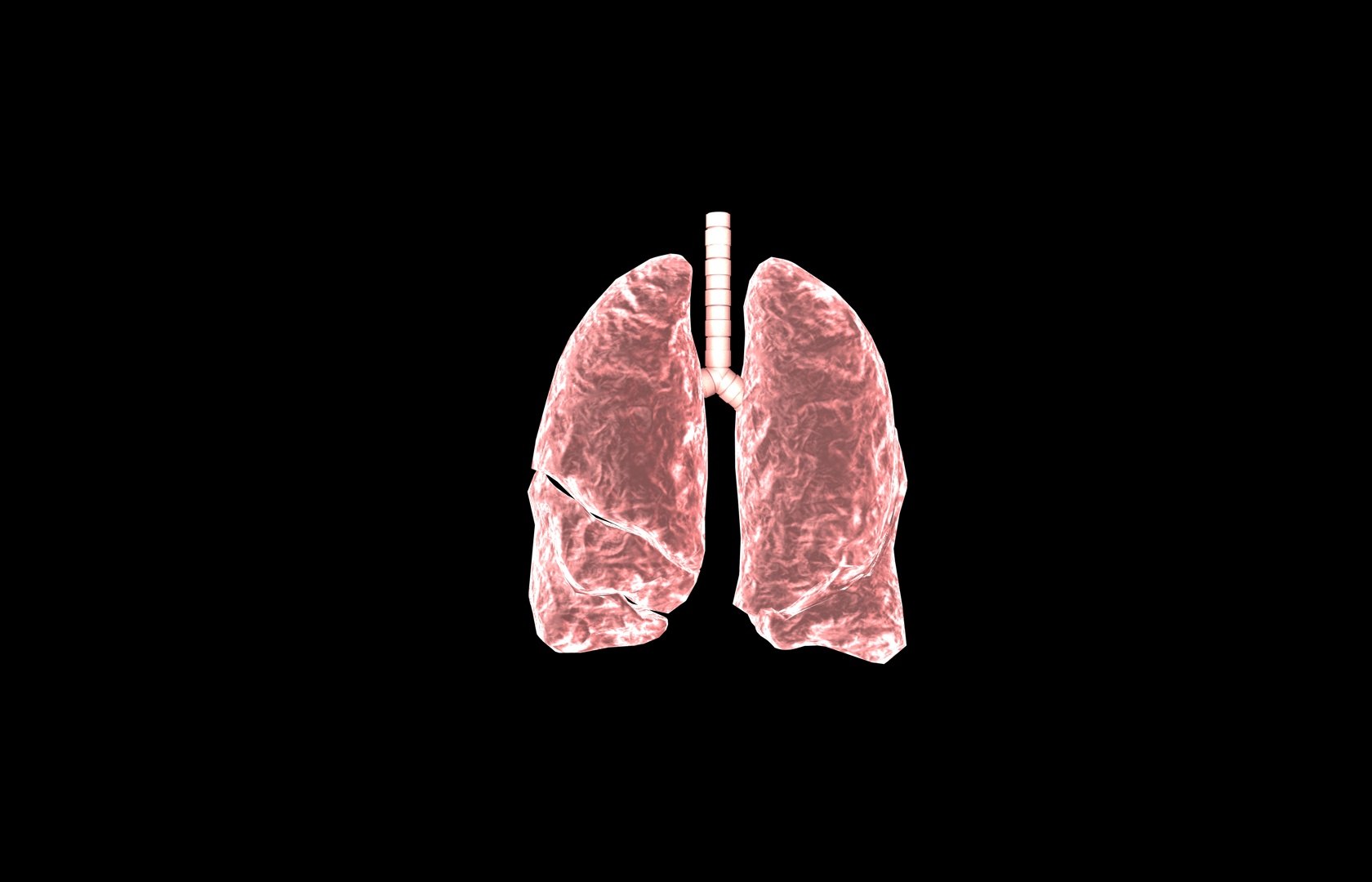 3d model of lung medical https://p.turbosquid.com/ts-thumb/Zf/FR2MTj/zvVzqhKf/lung0022/jpg/1376229595/1920x1080/fit_q87/196b757554e9954116c1c3a98e1e883afbf9706f/lung0022.jpg
