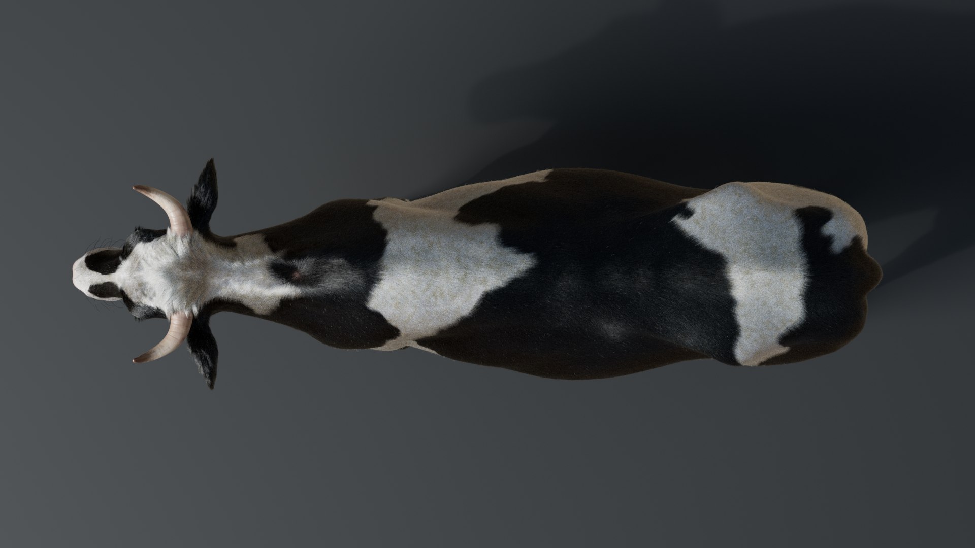 Cow With Fur 3 Textures 3D Model - TurboSquid 2082269